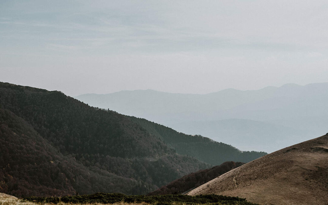 A New Year Doesn’t Mean a New You — It Means a More Honest One