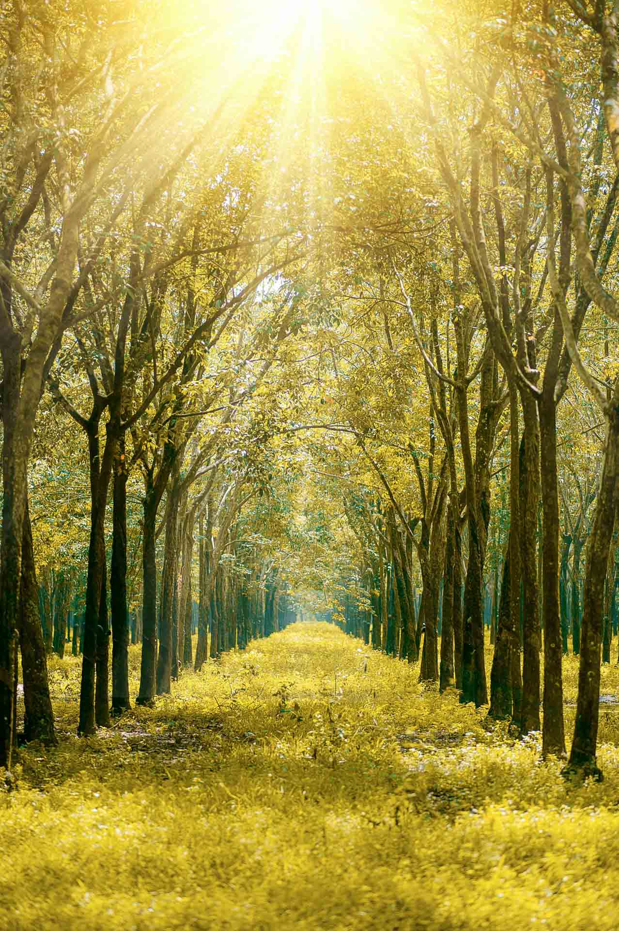 Empowering-Optimism-Therapy-06_Michigan