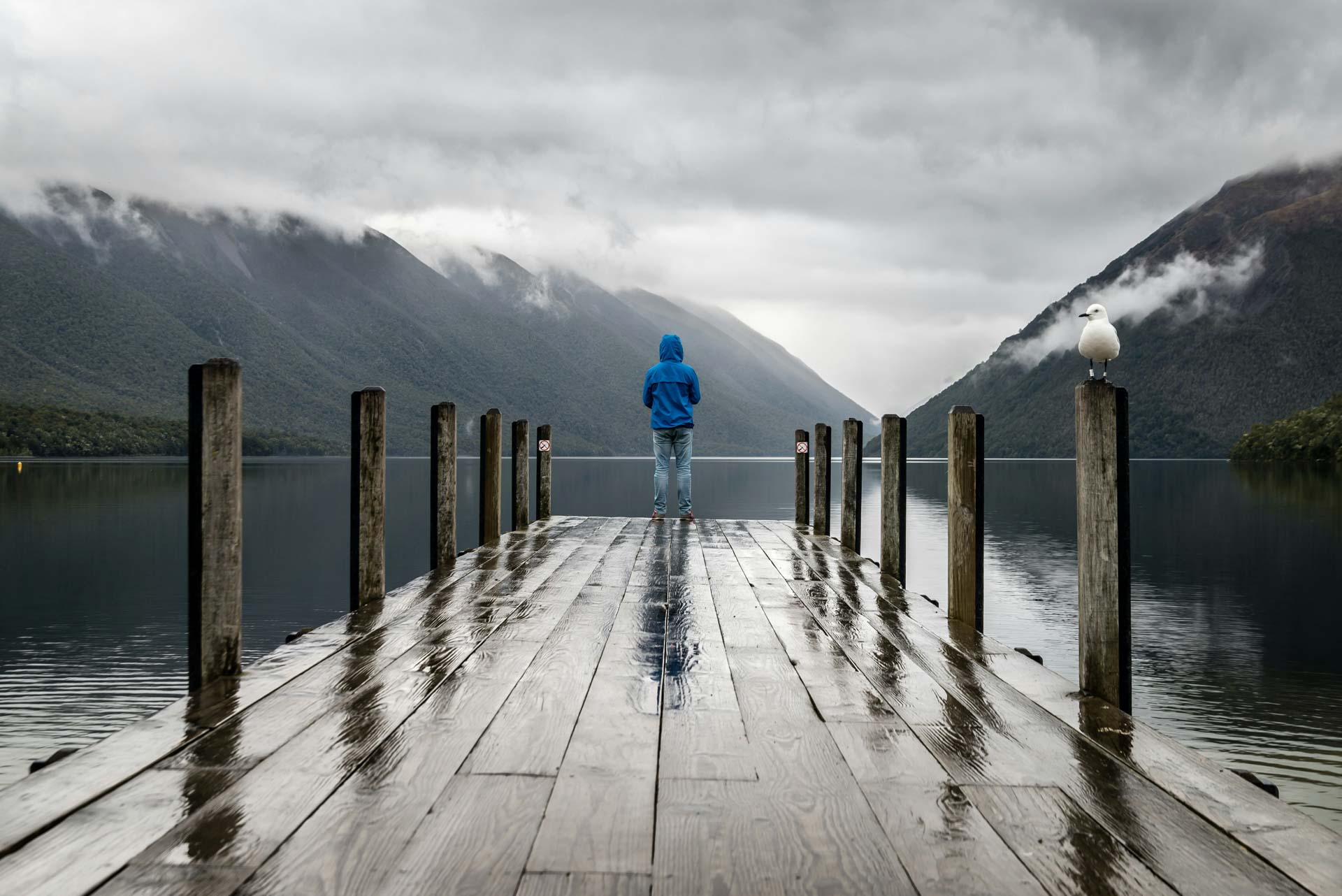 Empowering-Optimism-Therapy-14_Michigan