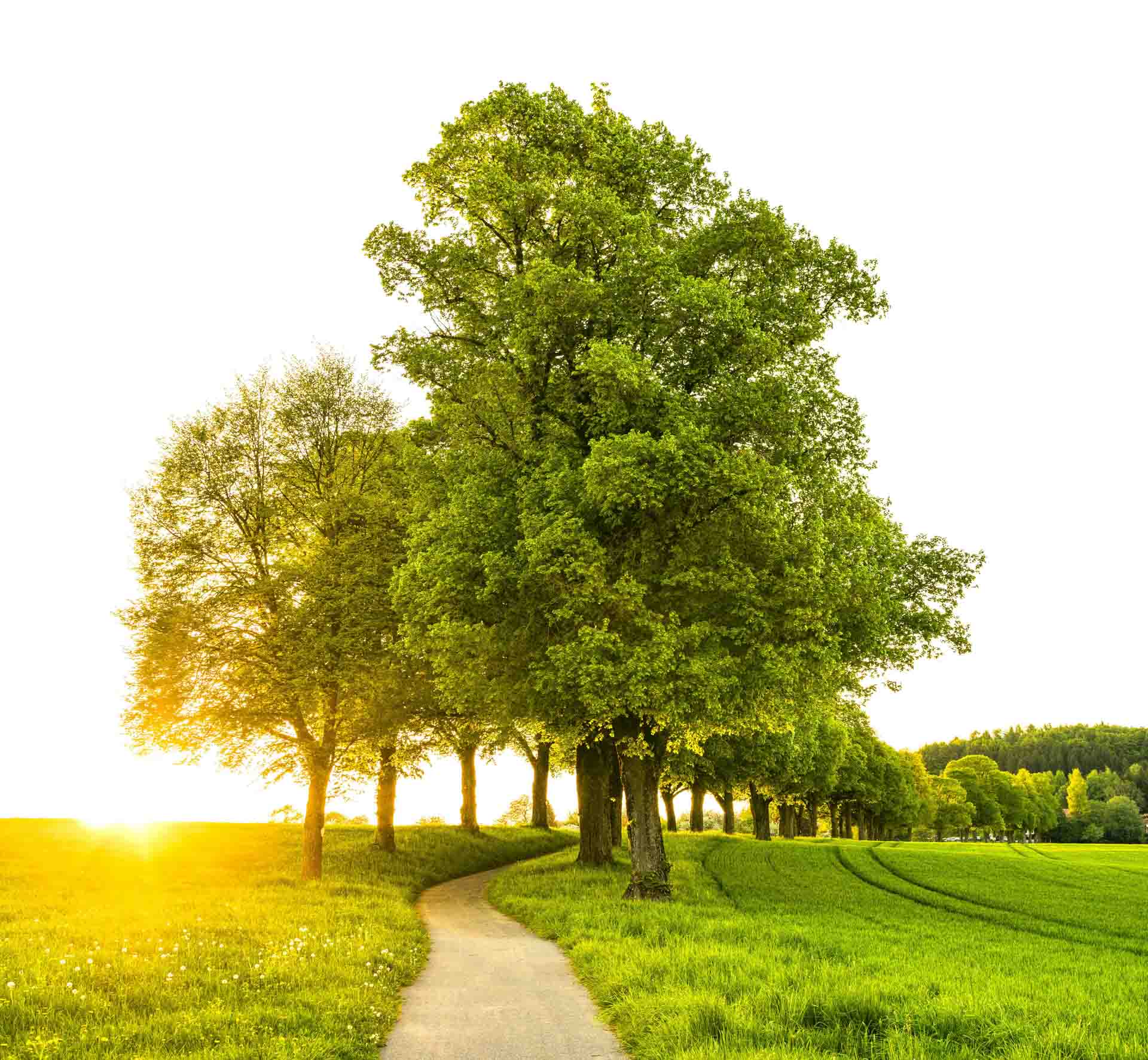 Empowering-Optimism-Therapy-16_Michigan